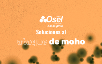Ataque de moho