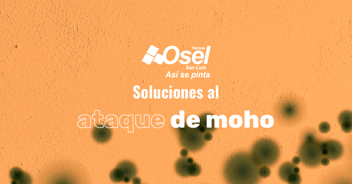 soluciones-al-ataque-de-moho